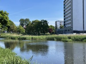 Łacha na Parsęcie policzona. Firmy wyceniły usunięcie przymuliska