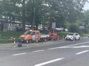 Los dwóch drzew przy Łopuskiego jest przesądzony. Co z pozostałymi?