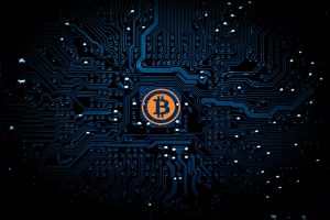 W Kołobrzegu odnotowano najwyższy dochód z kryptowalut w regionie