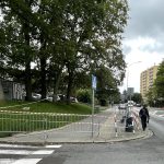 Dwa kolejne drzewa przy Łopuskiego mogą się przewrócić. Teren ogrodzono