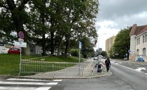 Dwa kolejne drzewa przy Łopuskiego mogą się przewrócić. Teren ogrodzono