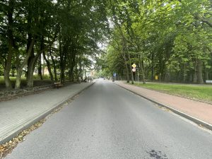 Mieszkańcy chcą progów zwalniających. „Kierowcy jeżdżą tędy jak szaleni”