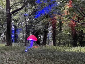 Przygotowania do jutrzejszej Nocy Kolorów (WIDEO, PROGRAM)