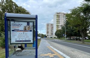 W Kołobrzegu rusza bezpłatna kastracja psów i kotów. Kto może skorzystać?
