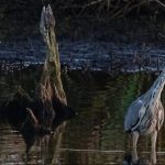 Dobre powietrze, złe wyniki wód. Raport o stanie środowiska w powiecie kołobrzeskim