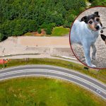 powstaje schronisko dla zwierząt - na zdjęciu plac budowy