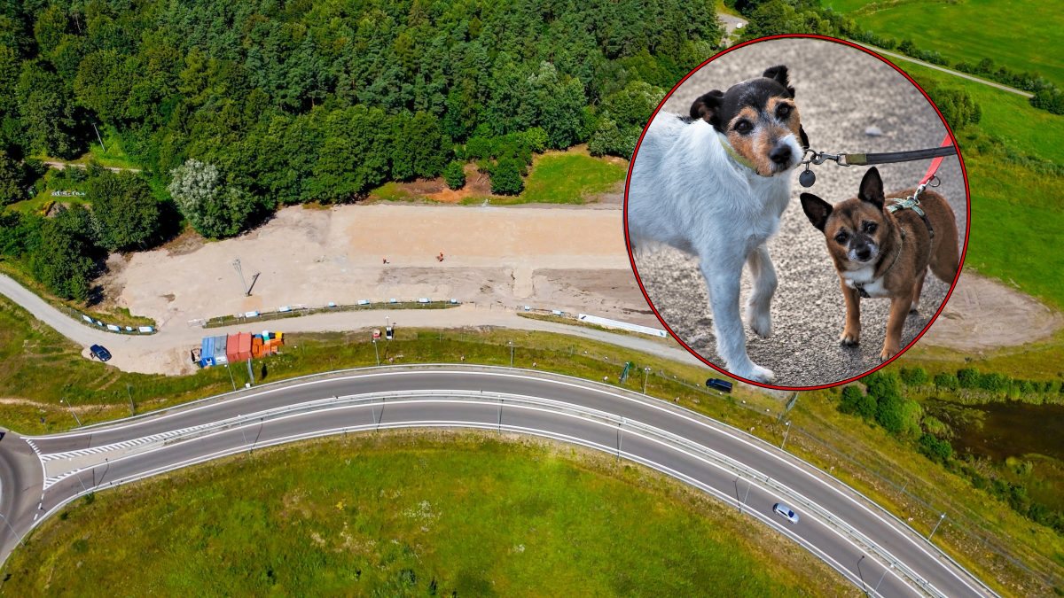 powstaje schronisko dla zwierząt - na zdjęciu plac budowy
