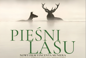 27 października, pokaz filmu „Pieśń lasu” (DKF Sztorm)