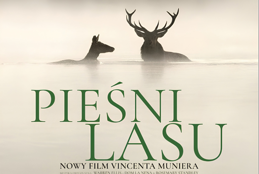You are currently viewing 27 października, pokaz filmu „Pieśń lasu” (DKF Sztorm)