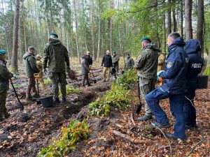 Mundurowi z Kołobrzegu posadzili las. Graby, lipy i klony zastąpiły świerki