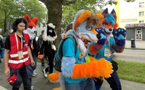 furry12