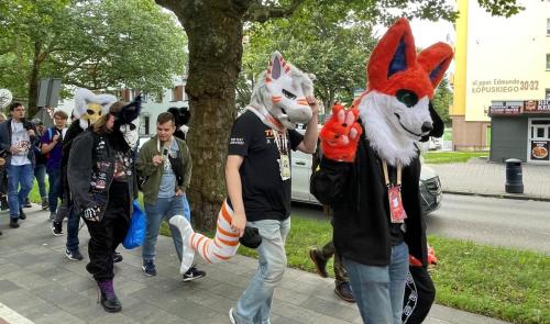 furry13