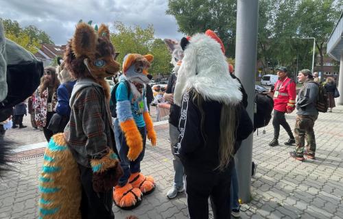 furry3