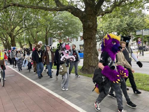 furry7