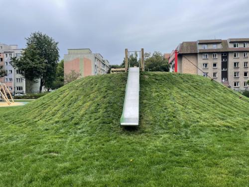 plac19